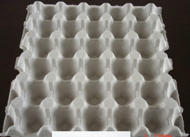 Paper Pulp Molding Machine
